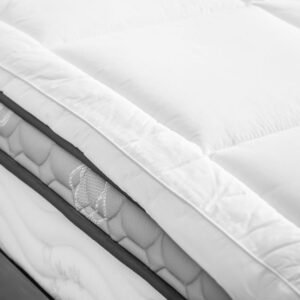 Comment reconnaître une infestation de punaises de lit avant qu&rsquo;il ne soit trop tard