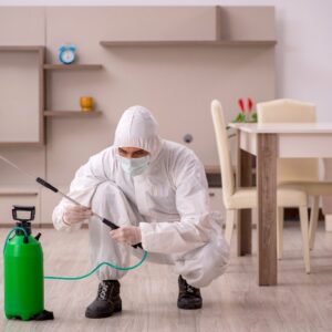 Comment se débarrasser définitivement des punaises de lit sans erreur