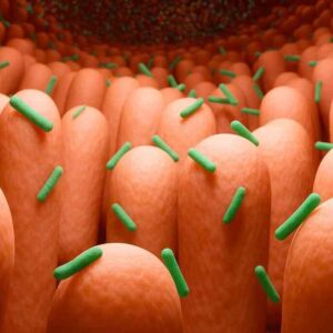 Les obélisques : De nouvelles formes de vie microscopiques découvertes dans le corps humain