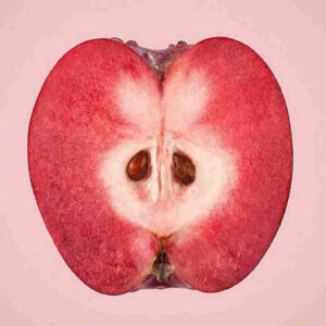 La Redlove : Une pomme rouge à l&rsquo;intérieur comme à l&rsquo;extérieur, mais quel est son goût ?